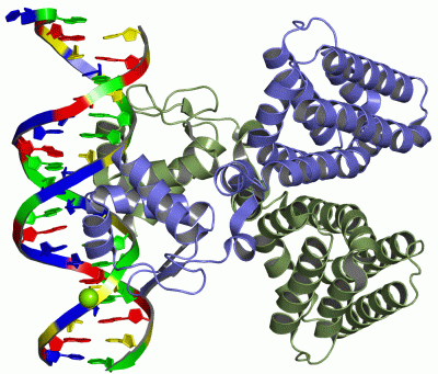 Image Asym./Biol. Unit - manually