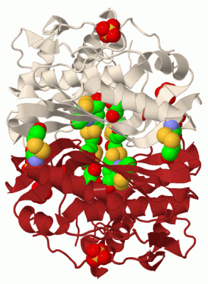 Image Biol.Unit 1 - manually