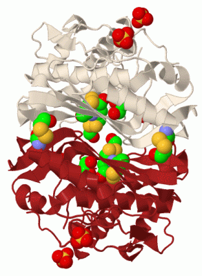 Image Biol.Unit 1 - manually