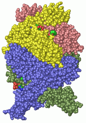 Image Asym./Biol. Unit - manually