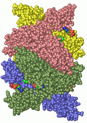 Image Asym./Biol. Unit - manually