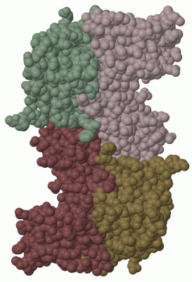 Image Biol.Unit 1 - manually