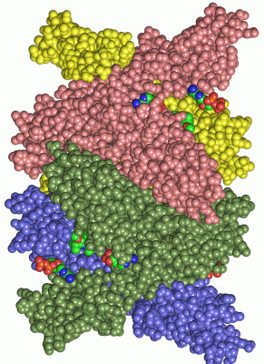 Image Asym./Biol. Unit - manually