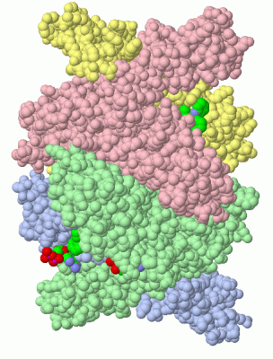 Image Asym./Biol. Unit - manually