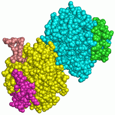 Image Asym./Biol. Unit - manually