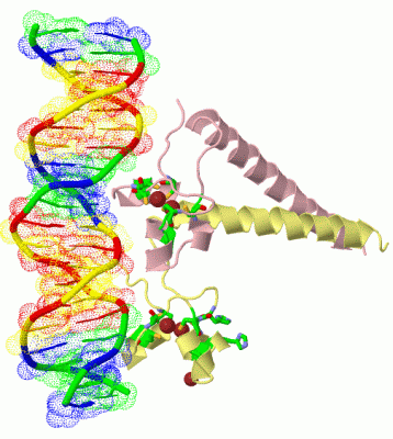 Image Biol.Unit 1 - manually