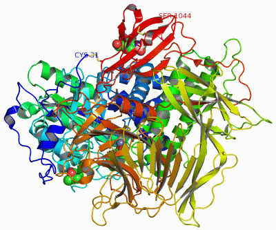 Image Asym./Biol. Unit - manually