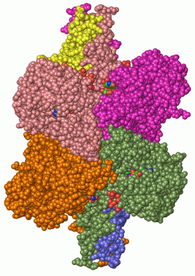 Image Asym./Biol. Unit - manually