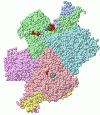 Image Asym./Biol. Unit - manually