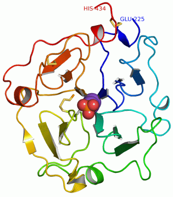 Image Asym./Biol. Unit - manually