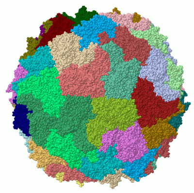 Image Biol.Unit 1 - manually