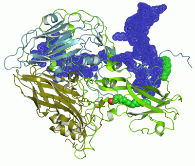 Image Asym.Unit - manually