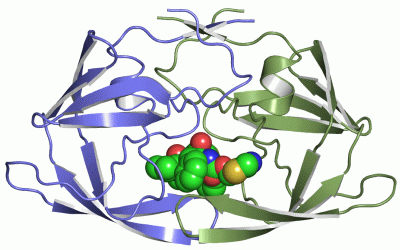 Image Asym./Biol. Unit - manually