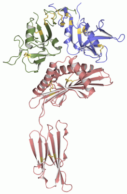 Image Asym./Biol. Unit - manually