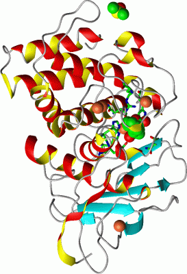 Image Asym./Biol. Unit - manually