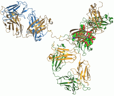 Image Asym./Biol. Unit - manually