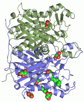 Image Asym./Biol. Unit - manually