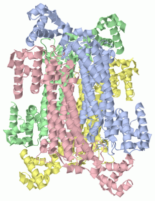 Image Asym./Biol. Unit - manually