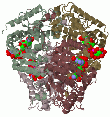 Image Biol.Unit 1 - manually