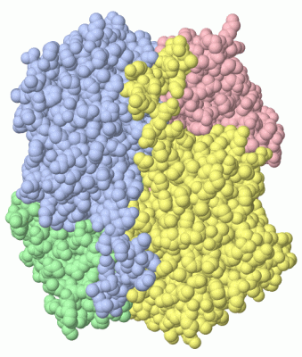 Image Biol.Unit 1 - manually