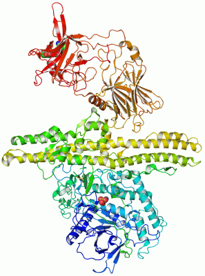 Image Asym./Biol. Unit - manually