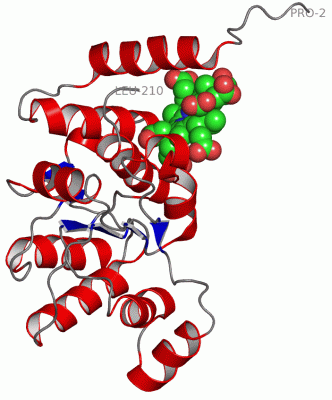 Image Asym.Unit - manually