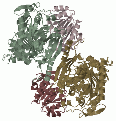 Image Biol.Unit 1 - manually