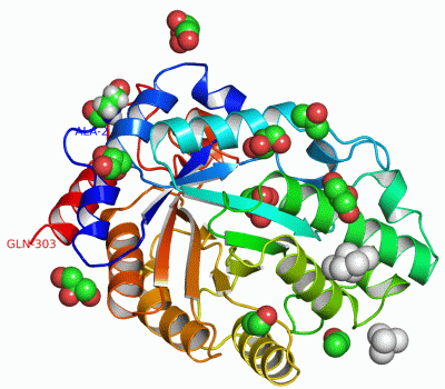 Image Asym./Biol. Unit - manually