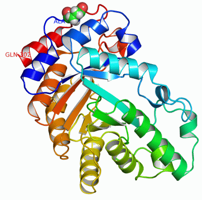 Image Asym./Biol. Unit - manually