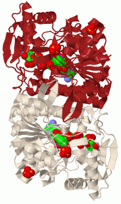 Image Biol.Unit 1 - manually