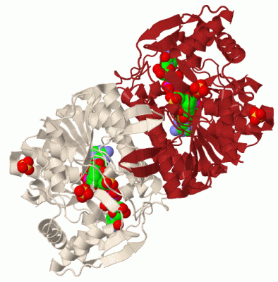 Image Biol.Unit 1 - manually