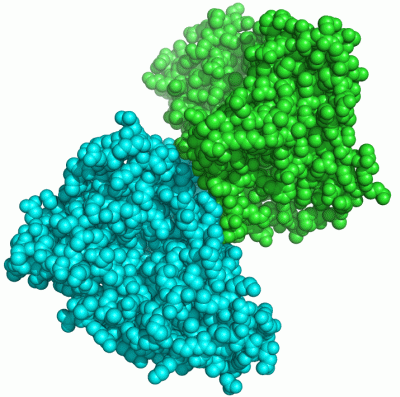 Image Asym./Biol. Unit - manually