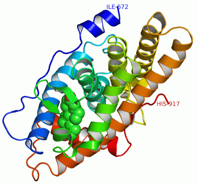 Image Asym./Biol. Unit - manually