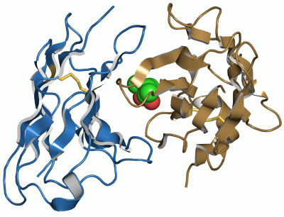 Image Asym./Biol. Unit - manually