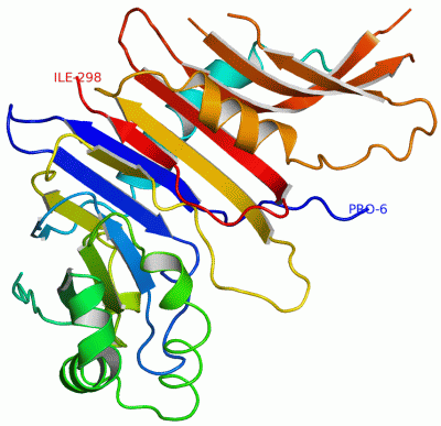 Image Asym./Biol. Unit - manually