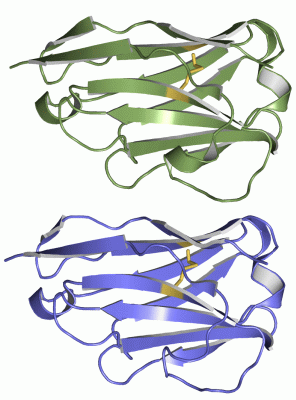 Image Asym.Unit - manually