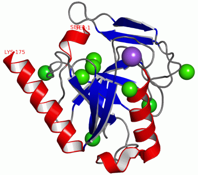 Image Asym.Unit - manually