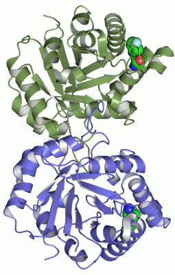 Image Asym./Biol. Unit - manually