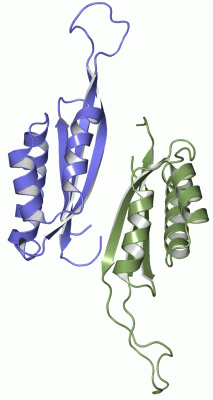 Image Asym./Biol. Unit - manually