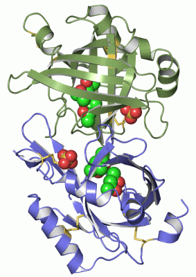 Image Asym./Biol. Unit - manually