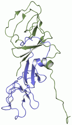 Image NMR Structure - manually