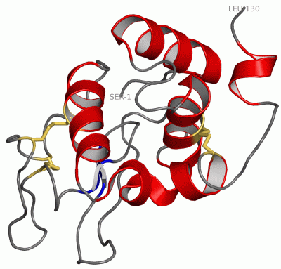 Image NMR Structure - manually