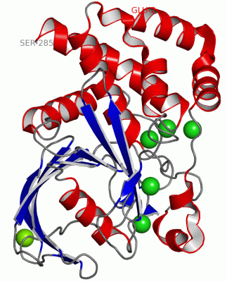 Image Asym./Biol. Unit - manually