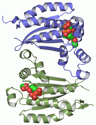 Image Asym./Biol. Unit - manually