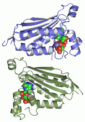 Image Asym./Biol. Unit - manually