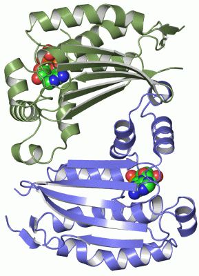 Image Asym./Biol. Unit - manually