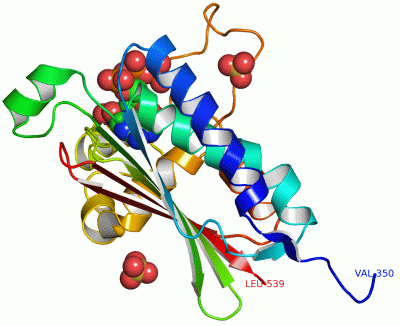 Image Asym./Biol. Unit - manually