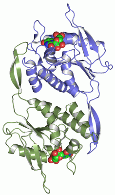 Image Asym./Biol. Unit - manually