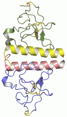 Image Asym./Biol. Unit - manually