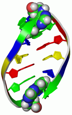 Image Biol.Unit 1 - manually